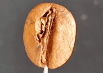 Nosso café é selecionado e torrado na medida certa